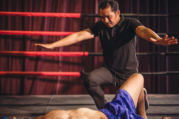 Referee Announces Knockout in Boxing Match