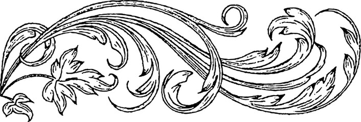 Rustic Vintage Baroque Borders