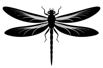 dragonfly silhouette vector illustration