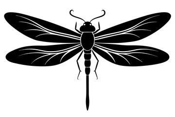 dragonfly silhouette vector illustration