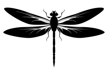 dragonfly silhouette vector illustration