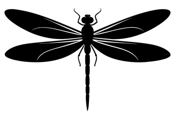 dragonfly silhouette vector illustration