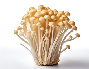 Enoki Mushrooms