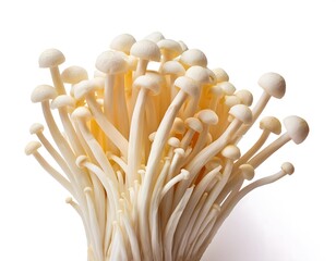 Enoki Mushrooms