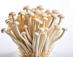 Enoki Mushrooms