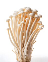 Enoki Mushrooms