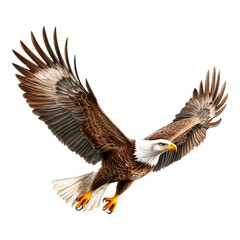 Obraz premium Majestic Eagle in Flight over Blue Sky