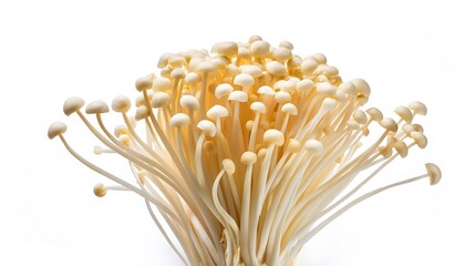 Enoki Mushrooms