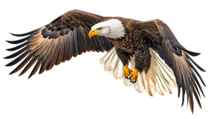 Majestic bald eagle soaring with wings extended, capturing the essence of freedom and strength in flight against a clear sky.