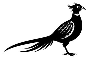 pheasant vector silhouette vector illustration