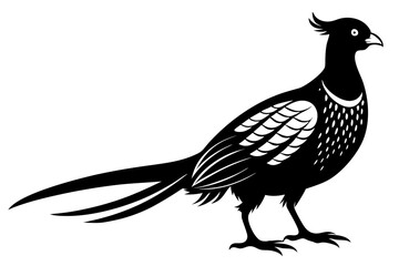 pheasant vector silhouette vector illustration