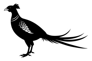 pheasant vector silhouette vector illustration