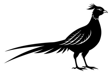 pheasant vector silhouette vector illustration