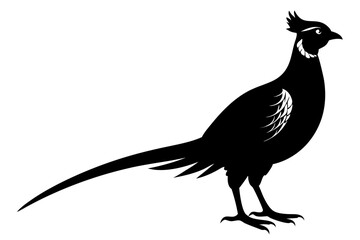 pheasant vector silhouette vector illustration