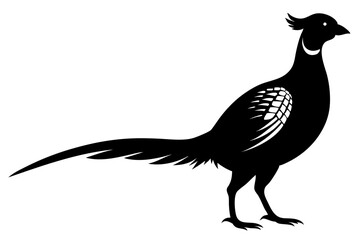pheasant vector silhouette vector illustration