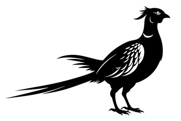 pheasant vector silhouette vector illustration