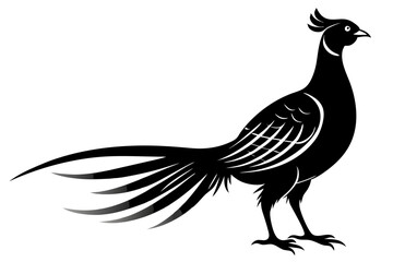 pheasant vector silhouette vector illustration