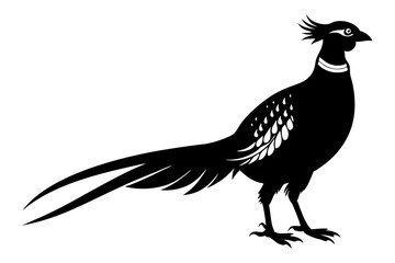 pheasant vector silhouette vector illustration