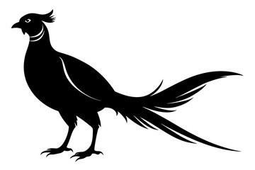 pheasant vector silhouette vector illustration