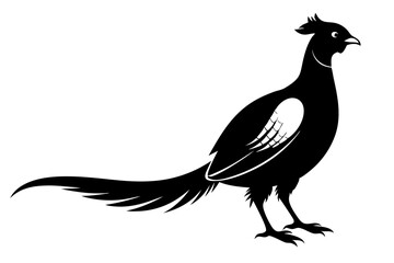 pheasant vector silhouette vector illustration