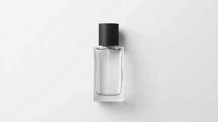 Sleek Clear Glass Perfume Bottle with Matte Cap