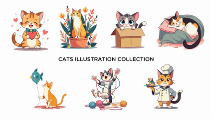 12 cat collection