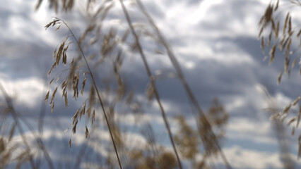 Fall foliage on a sunny day