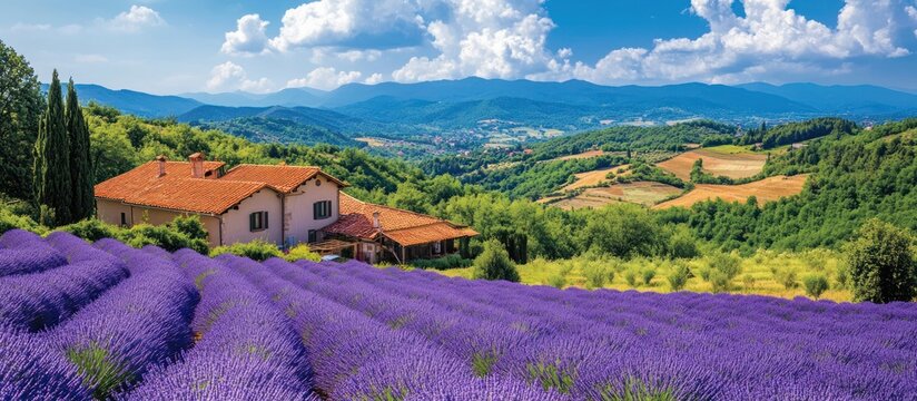 A beautiful, sunny day in the countryside with lavender fields, a farm house, and rolling hills in the background. - Powered by Adobe