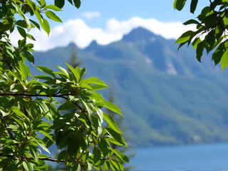 Fototapeta premium mountain 