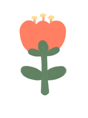 An illustration of orange tulip flower