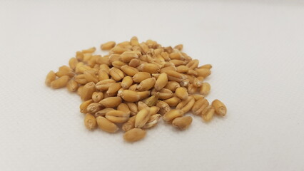 Close up Gandam seeds white background HD 4K image