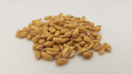 Close up Gandam seeds white background HD 4K image 