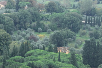 Veduta della campagna toscana nei pressi di Firenze, Centro Italia