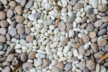 Colorful small pebbles or stone texture in garden