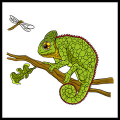 Cartoon chameleon on a branch
