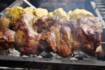 Burnt dry kebabs. Unhealthy food. Fat meat with carcinogens and bad cholesterol