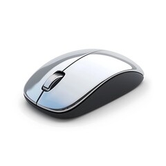 Computer mouse isolated on white background
