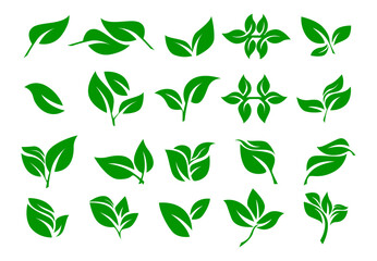 set of green leaves with transparent background