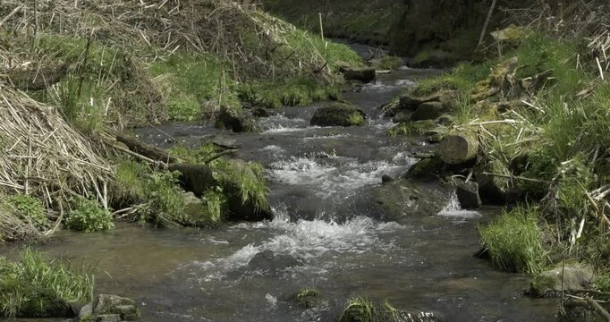 kleiner idyllischer bach, C4K, ProRes, Slowmotion
