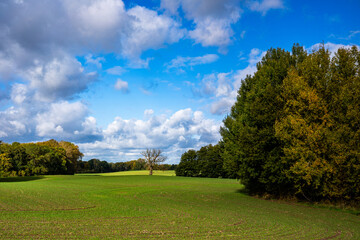 Mecklenburg Vorpommern im Herbst