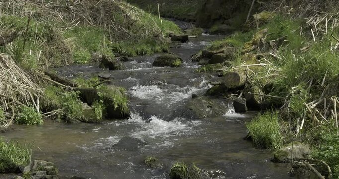 kleiner idyllischer bach, C4K, ProRes, Slowmotion