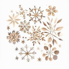 Winter-themed floral and snowflake illustrations, white background