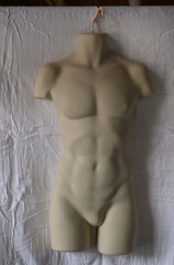 torso