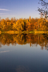 Autumn in the light of setting sun. Landscape with beautiful yellow and orange colored trees and reflections in  a pond. Muchowiec, Katowice,  Silesia, Poland