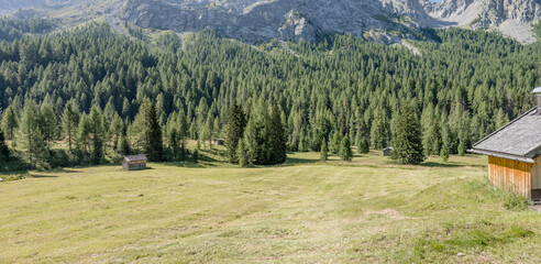 traditional wooden huts on glade in forest near Cascata lodge in S. Nicolo' valley, S.Giovanni di Fassa, Italy