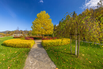 Jesień w ogrodach w Muszynie.