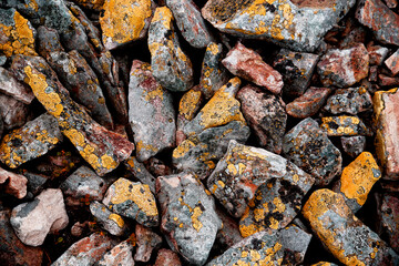 Mossy stone wall textured background.