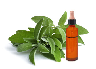 Fresh sage with  essence bottle