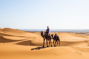 Caravan of one person and two camels in summer Sahara getting to breathtaking international...