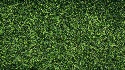 Tło z bujnej, zielonej trawy sprawia, że cała kompozycja nabiera życia i energii. Zielony kolor, będący symbolem przyrody, spokoju i odnowy, tworzy atmosferę relaksu i radości.